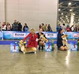 15 мес Loredge And Winner Take It All At Linvud