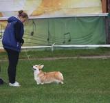 9 мес Loredge And Winner Take It All At Linvud