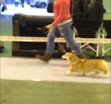 11 мес Loredge And Winner Take It All At Linvud