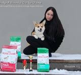 1 год 1 мес