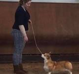 11 мес Loredge And Winner Take It All At Linvud
