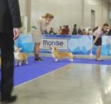 15 мес Loredge And Winner Take It All At Linvud