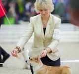 4 мес Loredge Amberynlea's Inspiration