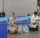 15 мес Loredge And Winner Take It All At Linvud