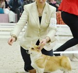 4 мес Loredge Amberynlea's Inspiration