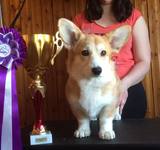 4 мес Loredge And Winner Take It All At Linvud