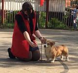 4 мес Loredge And Winner Take It All At Linvud
