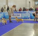 15 мес Loredge And Winner Take It All At Linvud