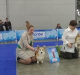 15 мес Loredge And Winner Take It All At Linvud