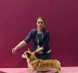 15 мес Loredge And Winner Take It All At Linvud